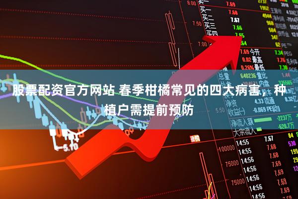 股票配资官方网站 春季柑橘常见的四大病害，种植户需提前预防