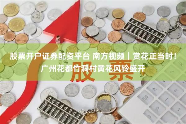 股票开户证券配资平台 南方视频｜赏花正当时！广州花都竹洞村黄花风铃盛开