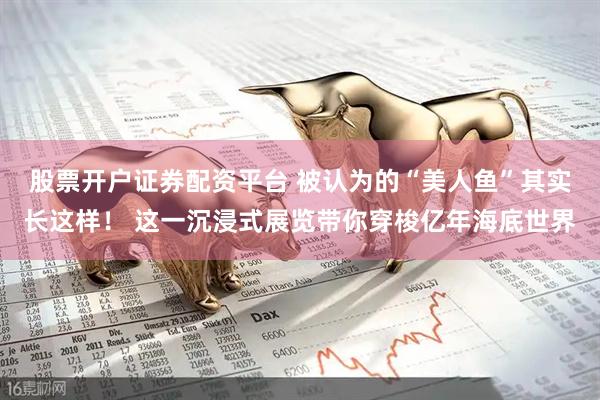股票开户证券配资平台 被认为的“美人鱼”其实长这样！ 这一沉浸式展览带你穿梭亿年海底世界