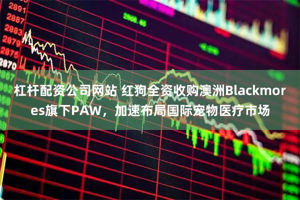 杠杆配资公司网站 红狗全资收购澳洲Blackmores旗下PAW，加速布局国际宠物医疗市场