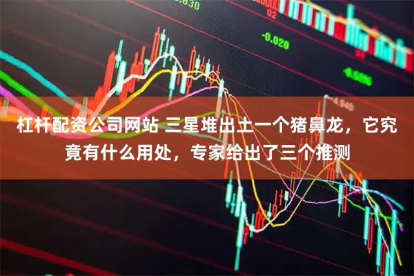 杠杆配资公司网站 三星堆出土一个猪鼻龙，它究竟有什么用处，专家给出了三个推测